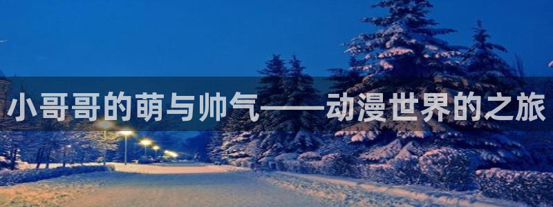 里番少女漫画：小哥哥的萌与帅气——动漫世界的之旅
