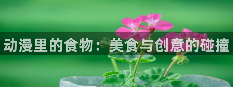 热播里番动漫：动漫里的食物：美食与创意的碰撞