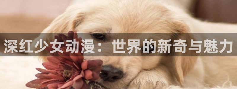 经典动漫里番：深红少女动漫：世界的新奇与魅力