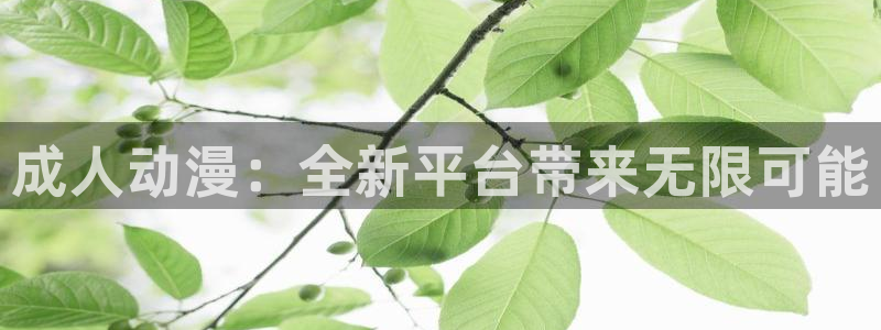 里番动画网站：成人动漫：全新平台带来无限可能