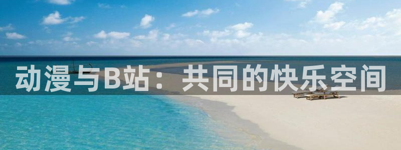 里番动漫 在线观看：动漫与B站：共同的快乐空间