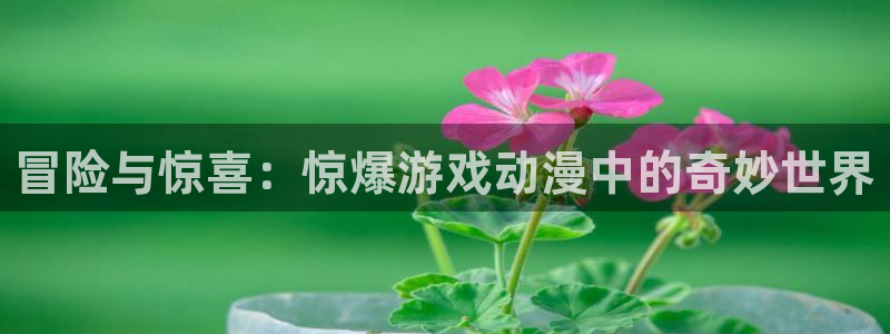 日本少女漫画之里番：冒险与惊喜：惊爆游戏动漫中的奇妙世界