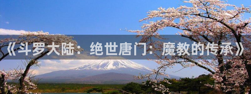 天天动漫里番：《斗罗大陆：绝世唐门：魔教的传承》