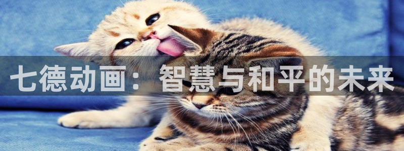 里番动漫都有哪些：七德动画：智慧与和平的未来