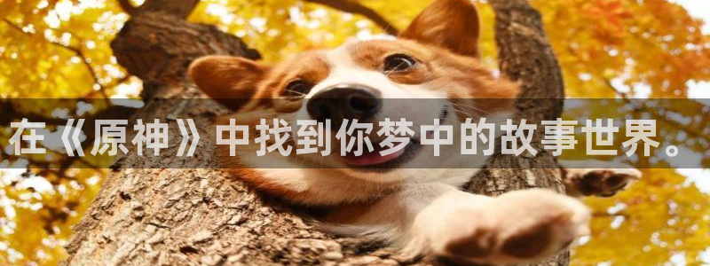 里番动漫免费网站：在《原神》中找到你梦中的故事世界。