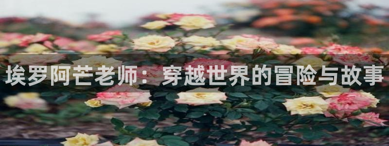 里番动漫在线看免费观看：埃罗阿芒老师：穿越世界的冒险与故事