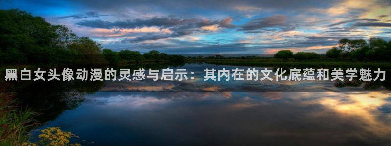 里番漫画免费在线：黑白女头像动漫的灵感与启示：其内在的文化底蕴和美学魅力