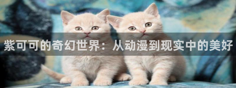 禁漫里番：紫可可的奇幻世界：从动漫到现实中的美好