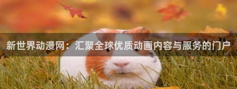 里番动漫排行榜：新世界动漫网：汇聚全球优质动画内容与服务的门户