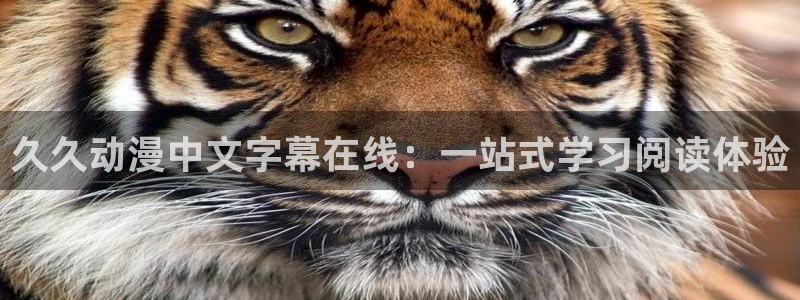 里番库_里番动漫：久久动漫中文字幕在线：一站式学习阅读体验
