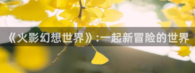 动漫里番剧：《火影幻想世界》:一起新冒险的世界