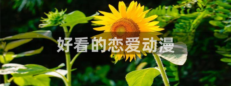 里番库 漫画：好看的恋爱动漫
